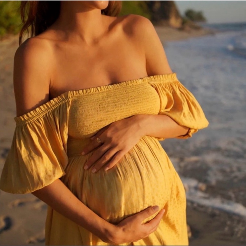 Hatch Elia Maternity Dress